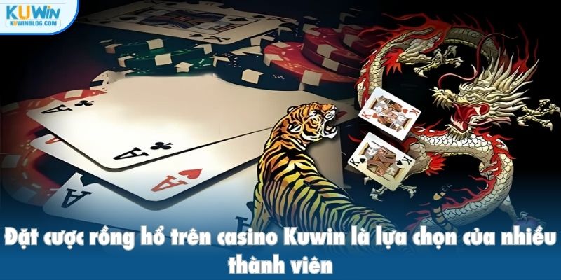 Đặt cược rồng hổ trên casino Kuwin là lựa chọn của nhiều thành viên