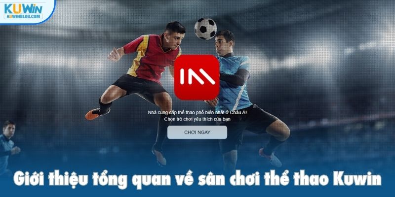 Giới thiệu tổng quan về sân chơi thể thao Kuwin